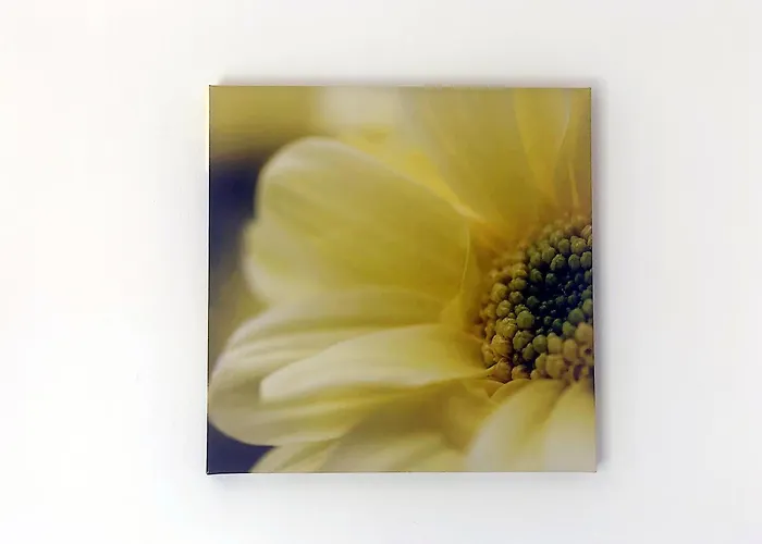 Center I Terrace Sea View * Нерха