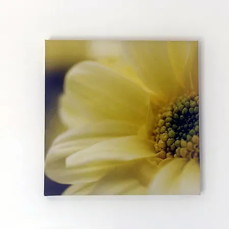 Center I Terrace Sea View * Nerja